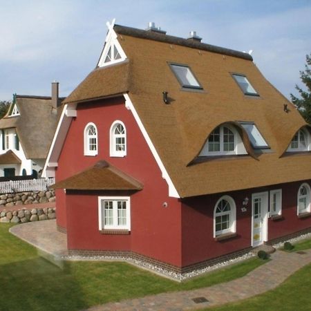 Ostseemuschel زنغست المظهر الخارجي الصورة