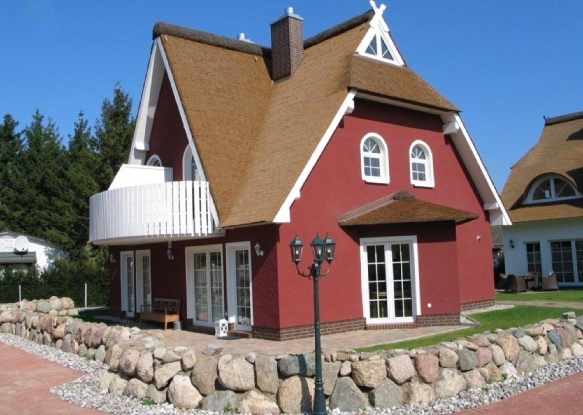 Ostseemuschel زنغست المظهر الخارجي الصورة